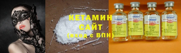 прущие грибы Каменка