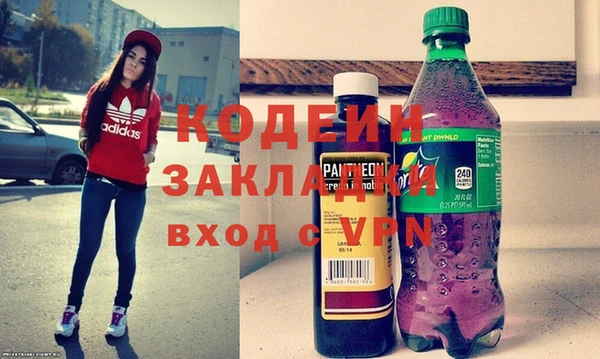 прущие грибы Каменка