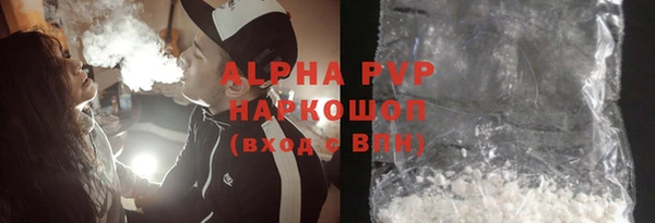 прущие грибы Каменка