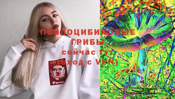 прущие грибы Каменка