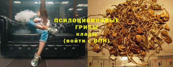 прущие грибы Каменка
