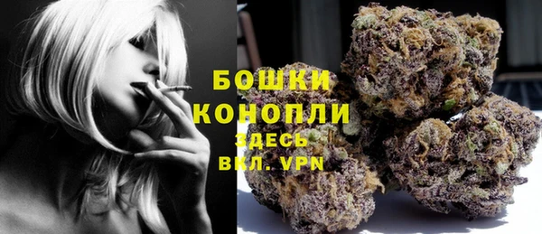 прущие грибы Каменка