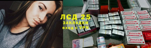 прущие грибы Каменка