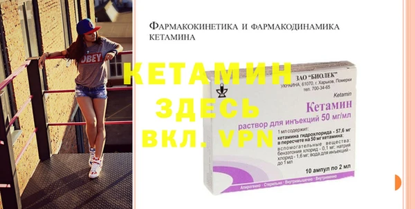 прущие грибы Каменка